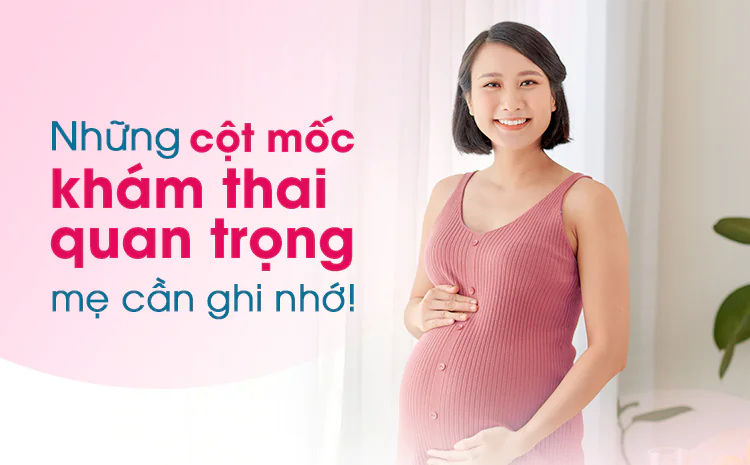 Các mốc siêu âm quan trọng trong thai kỳ (đo độ mờ da gáy, siêu âm 4D hình thái…)
